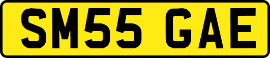 SM55GAE