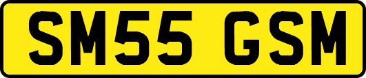 SM55GSM