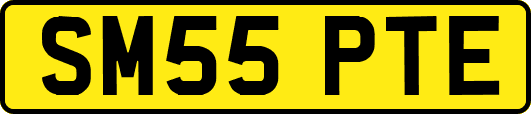 SM55PTE