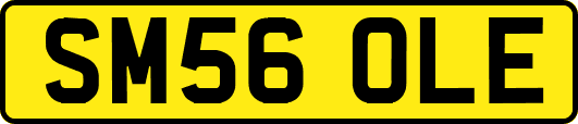 SM56OLE