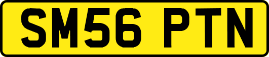 SM56PTN