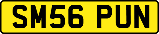 SM56PUN