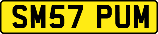 SM57PUM