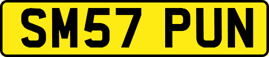 SM57PUN
