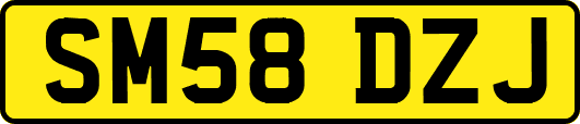 SM58DZJ