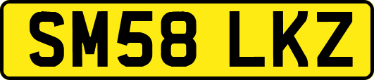 SM58LKZ