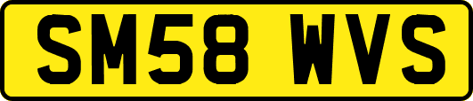 SM58WVS