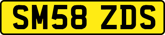 SM58ZDS