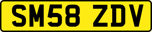 SM58ZDV