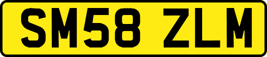 SM58ZLM