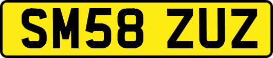 SM58ZUZ