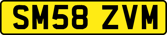 SM58ZVM