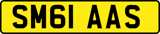 SM61AAS