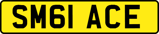 SM61ACE