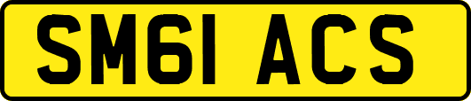 SM61ACS