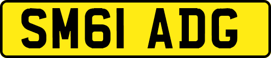 SM61ADG