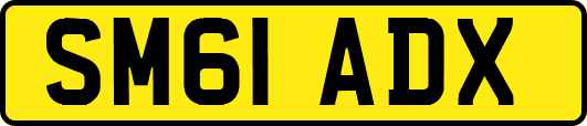 SM61ADX