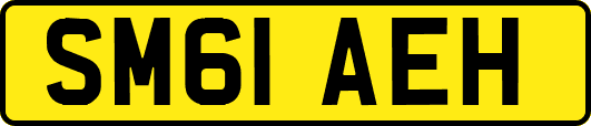 SM61AEH
