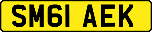SM61AEK