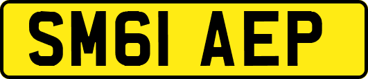 SM61AEP
