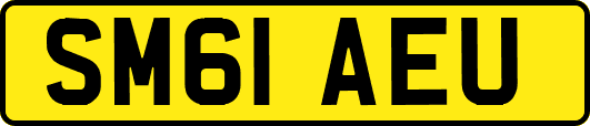 SM61AEU