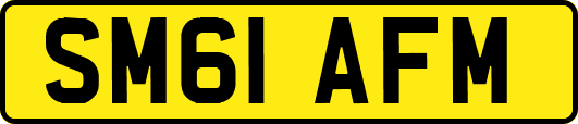 SM61AFM