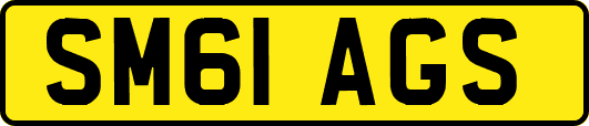 SM61AGS