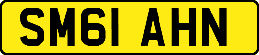 SM61AHN
