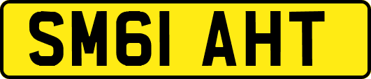 SM61AHT