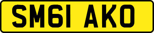 SM61AKO