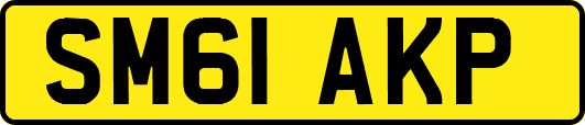 SM61AKP