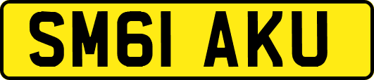 SM61AKU