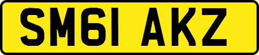SM61AKZ