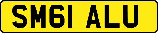 SM61ALU
