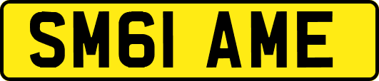 SM61AME
