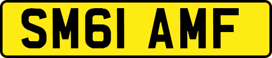 SM61AMF