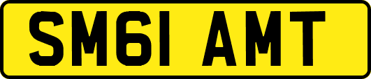 SM61AMT
