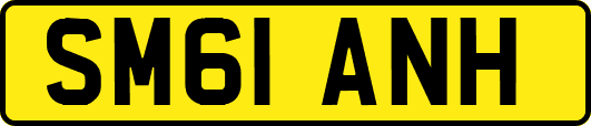 SM61ANH