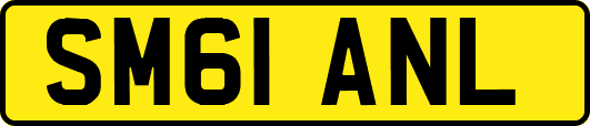 SM61ANL