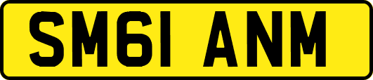 SM61ANM