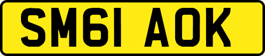 SM61AOK