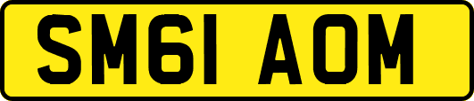 SM61AOM