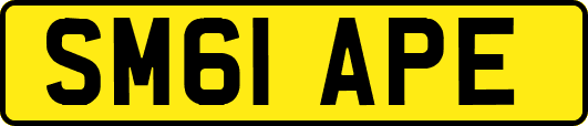 SM61APE