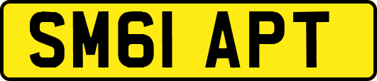 SM61APT