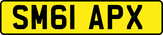 SM61APX
