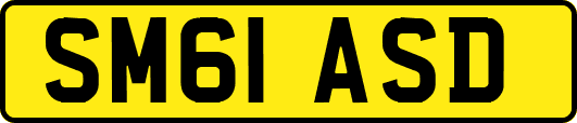 SM61ASD