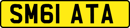 SM61ATA