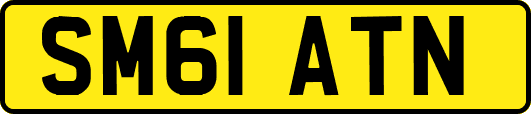 SM61ATN