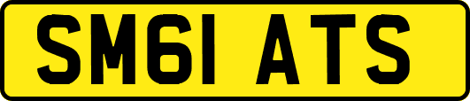 SM61ATS