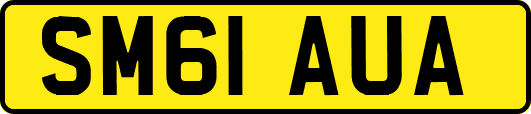 SM61AUA